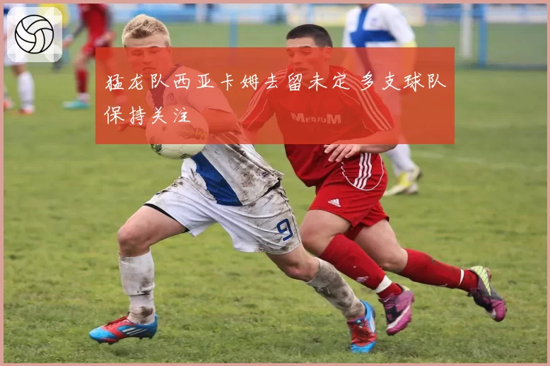 猛龙队西亚卡姆去留未定 多支球队保持关注