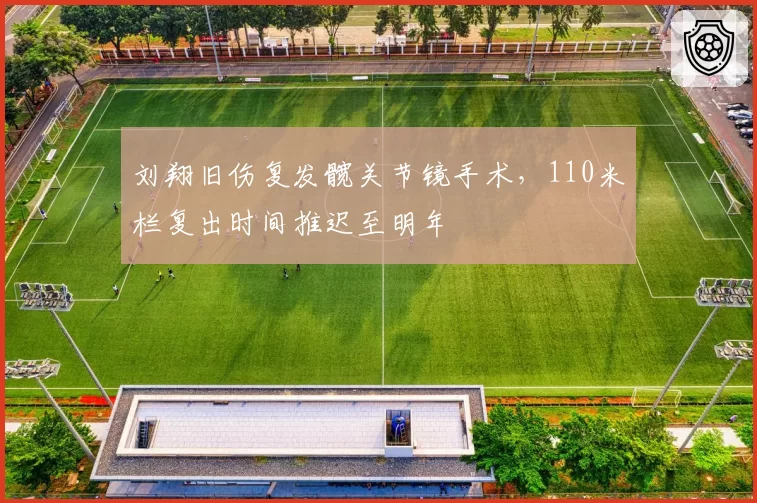 刘翔旧伤复发髋关节镜手术，110米栏复出时间推迟至明年