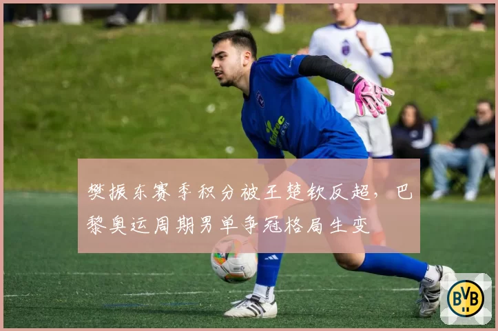 樊振东赛季积分被王楚钦反超,巴黎奥运周期男单争冠格局生变