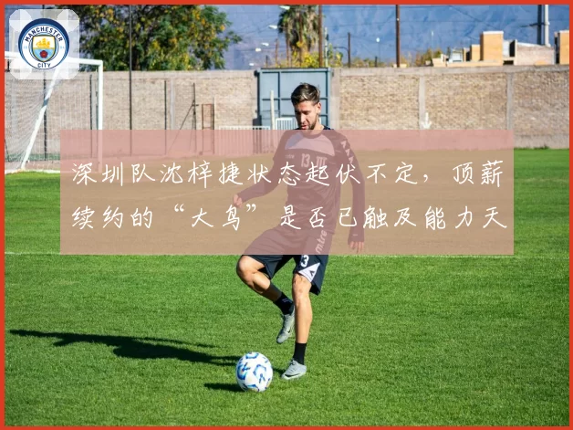 深圳队沈梓捷状态起伏不定,顶薪续约的“大鸟”是否已触及能力天花板?